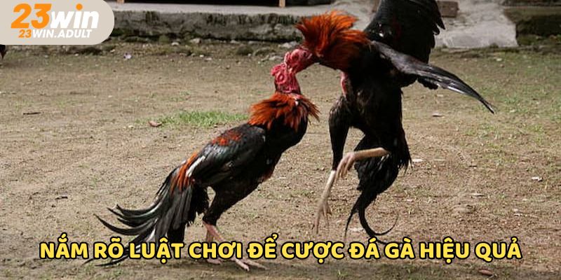 Lên chiến thuật dựa trên quy tắc tránh vi phạm